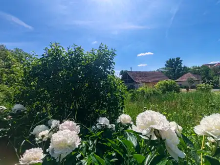 Eladó családi ház, Nógrádsáp 2 szoba 49 m² 15 M Ft