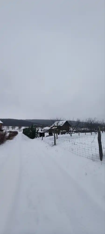 Eladó mezőgazdasági ingatlan, Alsópetény 1027 m² 58.9 M Ft