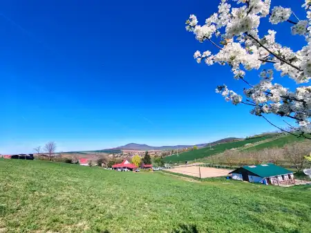 Eladó mezőgazdasági ingatlan, Rád 135000 m² 370 M Ft