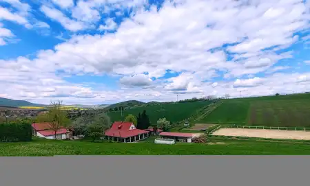 Eladó mezőgazdasági ingatlan, Rád 135000 m² 370 M Ft