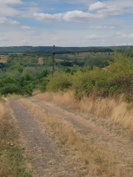 Eladó telek, Erdőkürt 953 m² 4.9 M Ft