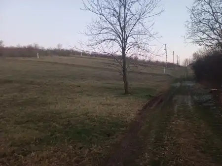 Eladó telek, Erdőkürt 904 m² 4.5 M Ft