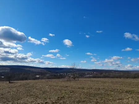 Eladó telek, Erdőkürt 901 m² 4.5 M Ft