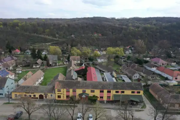 Eladó vendéglátás, Kemence 13 szoba 350 m² 250 M Ft